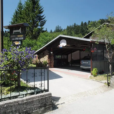 Apartament Gale *