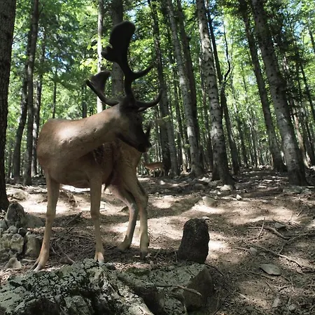 Gale Apartament Delnice